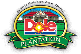 logo (1)