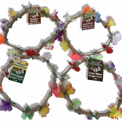 PINEAPPLE DOGGIE TREAT ASSORTED FLAVORS 10 CT LEI